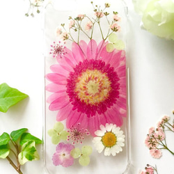 【iPhone6plus/6s plus専用】春待ちガーベラの押し花スマホケースver.2 2枚目の画像