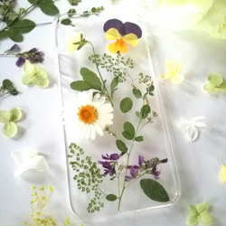 押し花作品 チューリップ 押し花｜花材セット 】F-217 | BLOOM MAISON