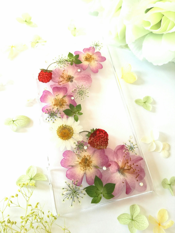 【支持所有型號】春天來了♪櫻花和迷你玫瑰壓花智能盒 第1張的照片