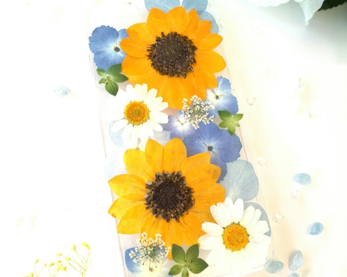 0_79e5a1bca441f66543f9b02d8d63