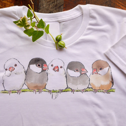 ふんわり文鳥 Tシャツ 1枚目の画像