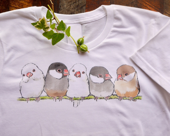 ふんわり文鳥 Tシャツ 1枚目の画像