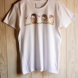 ふんわり文鳥 Tシャツ 2枚目の画像