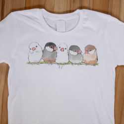 ふんわり文鳥 Tシャツ 4枚目の画像