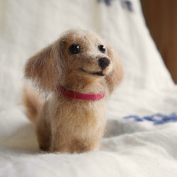 【ミント】ダックス 犬 羊毛フェルト ストラップ ハンドメイド ミント】ダックス 犬 羊毛フェルト ストラップ ハンドメイド ミント