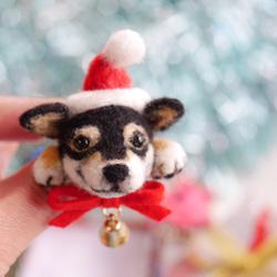 クリスマスのワンコサンタブローチ 【黒柴犬】 5枚目の画像