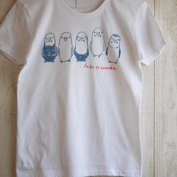 手描きセキセイインコのTシャツ  【白／グレー】 2枚目の画像