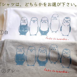 手描きセキセイインコのTシャツ  【白／グレー】 4枚目の画像