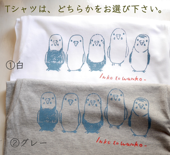 手描きセキセイインコのTシャツ  【白／グレー】 4枚目の画像