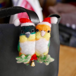 Zuguro＆Shirohara長尾小鸚鵡的聖誕節胸針 第3張的照片