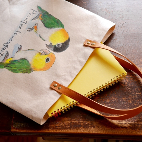 シロハラインコ | ことりちゃん シロハラインコ ズグロシロハラインコ