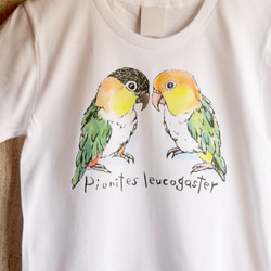 シロハラインコ&ズグロシロハラインコのTシャツ 1枚目の画像