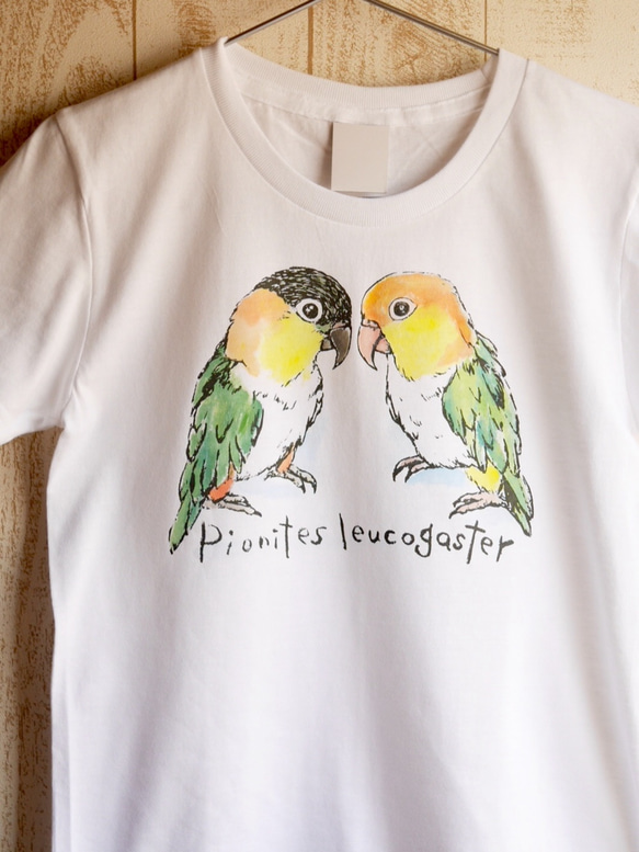 シロハラインコ&ズグロシロハラインコのTシャツ 1枚目の画像