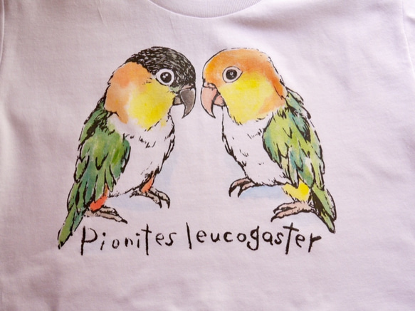 シロハラインコ&ズグロシロハラインコのTシャツ 3枚目の画像