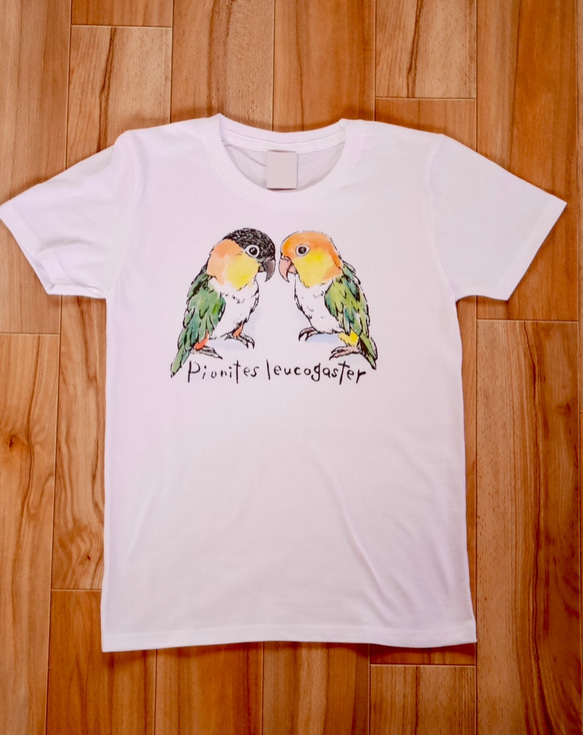 シロハラインコ&ズグロシロハラインコのTシャツ 4枚目の画像