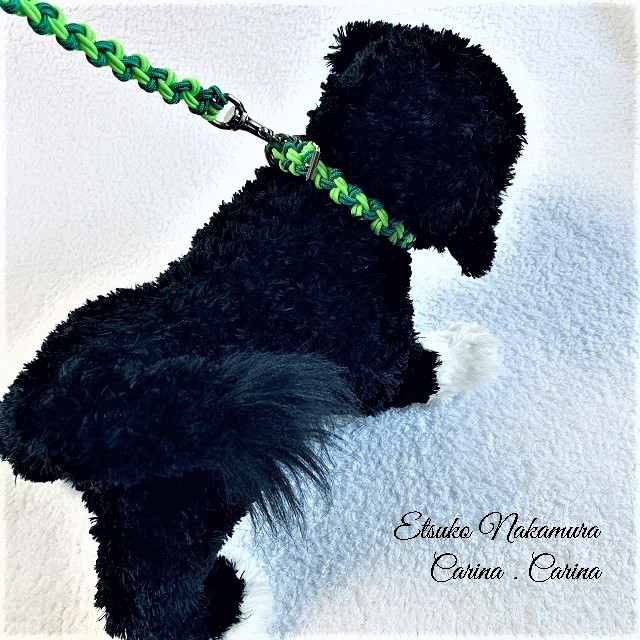 パラコードマクラメ編みNo16 中、小型犬リード