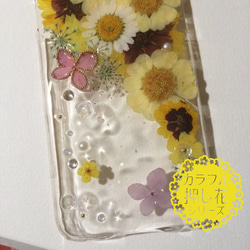 押し花iPhoneケース｜お花と蝶｜iPhone6s（0044） 2枚目の画像