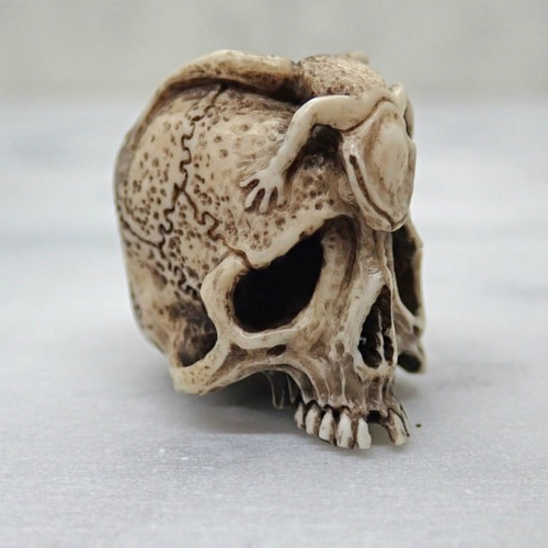 髑髏胡桃根付け　珍品 胡桃（クルミ）の実で作られた髑髏の根付 | 古美術・骨董 集のブログ