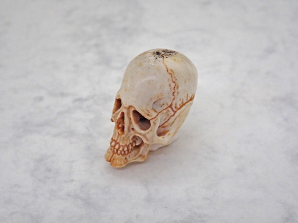 在銘 髑髏作家服部　鹿角製 髑髏根付（中）C 布袋+共箱 野晒 髑髏 骷髅 骸骨 skull netsuke スカル 3枚目の画像