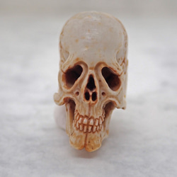 在銘 髑髏作家服部　鹿角製 髑髏根付（中）C 布袋+共箱 野晒 髑髏 骷髅 骸骨 skull netsuke スカル 4枚目の画像