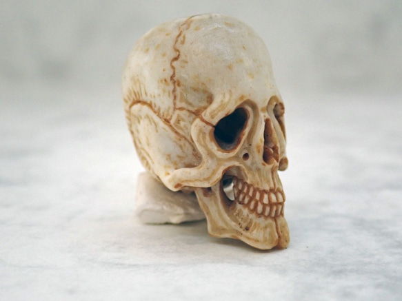 在銘 髑髏作家服部　鹿角製 髑髏根付（中）C 布袋+共箱 野晒 髑髏 骷髅 骸骨 skull netsuke スカル 5枚目の画像
