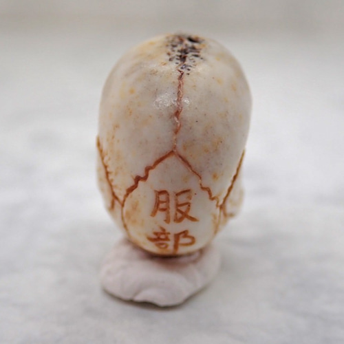 在銘 髑髏作家服部 鹿角製 髑髏根付（中）C 布袋+共箱 野晒 髑髏