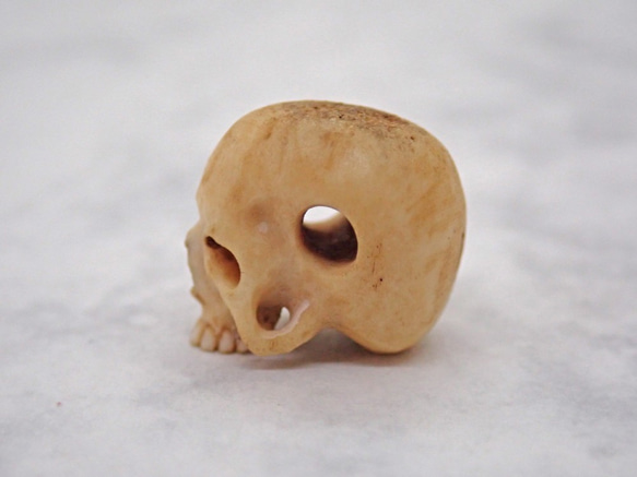 在銘 髑髏作家服部 鹿角製【髑髏珠b】【数珠/ブレスレット用横穴タイプ】髑髏 骷髅 スカル skull bead 5枚目の画像