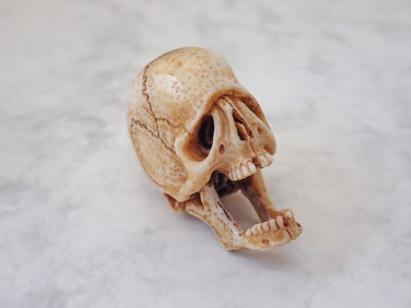 髑髏作家服部【髑髏箸置きA】髑髏 骷髅 骸骨 頭蓋骨 スカル skull netsuke memento mori 4枚目の画像