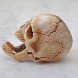 髑髏作家服部【髑髏箸置きA】髑髏 骷髅 骸骨 頭蓋骨 スカル skull netsuke memento mori 5枚目の画像