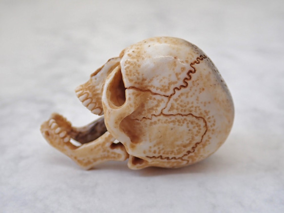 髑髏作家服部【髑髏箸置きA】髑髏 骷髅 骸骨 頭蓋骨 スカル skull netsuke memento mori 5枚目の画像