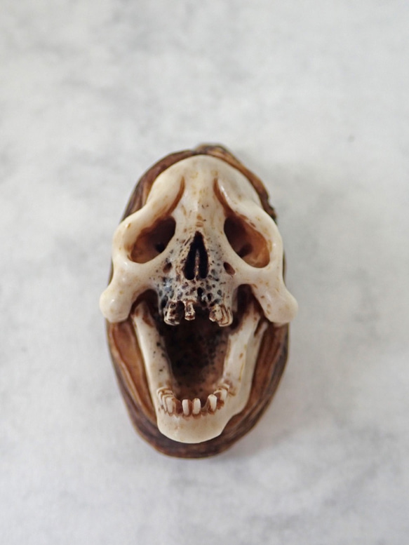 髑髏作家服部【般若髑髏箸置き】髑髏 骷髅 骸骨 頭蓋骨 スカル skull netsuke memento mori 6枚目の画像