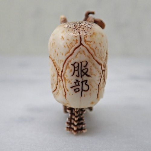 在銘 髑髏作家服部 髑髏彫刻【早贄髑髏首】 巾着+共箱 野晒 髑髏
