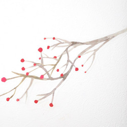 枝と赤い実　ウォールステッカー/ウォールデコ【送料無料】 1枚目の画像