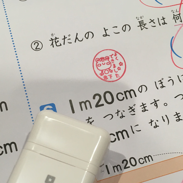 カエルが好き！シャチハタコラボ 2cmサイズ名前入 カエル評価印 3枚目の画像