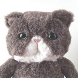 Fluffy Pechan Konyanko 毛絨玩具 (Cat_Dark Brown) * Charlie 第2張的照片
