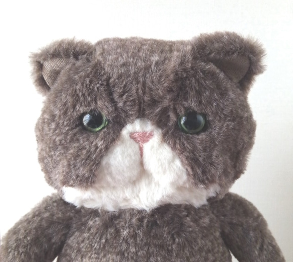 Fluffy Pechan Konyanko 毛絨玩具 (Cat_Dark Brown) * Charlie 第2張的照片