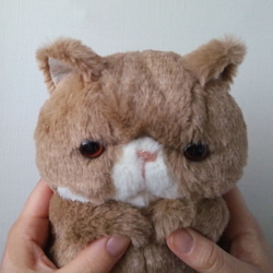 Fluffy Pechan Konyanko 毛絨玩具（Cat_fox 顏色）* Henly 第4張的照片