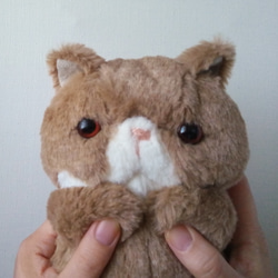 Fluffy Pechan Konyanko 毛絨玩具（Cat_fox 顏色）* Henly 第5張的照片