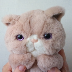 Fluffy Pechan Konyanko 毛絨玩具 (Cat_Pink Beige) * Lucy 第3張的照片