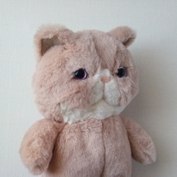 Fluffy Pechan Konyanko 毛絨玩具 (Cat_Pink Beige) * Lucy 第4張的照片
