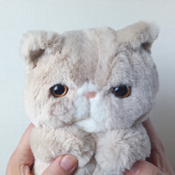 Fluffy Pechan Konyanko 毛絨玩具 (Cat_Milk Tea) * Oliver 第3張的照片