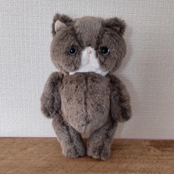 ぺちゃんこにゃんこのぬいぐるみ（teddy bearタイプ））※Benjamin 7枚目の画像