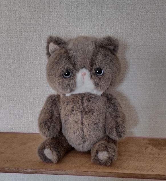 ぺちゃんこにゃんこのぬいぐるみ（teddy bearタイプ））※Benjamin 8枚目の画像