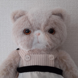 Pechan Konyanko 毛絨玩具（泰迪熊型））* Annie 第3張的照片