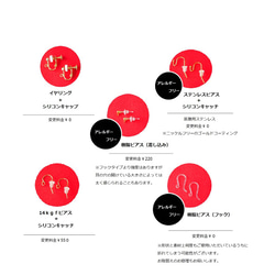 [新顏色]包布劃破了第二代歌舞伎（耳環改變） 第15張的照片