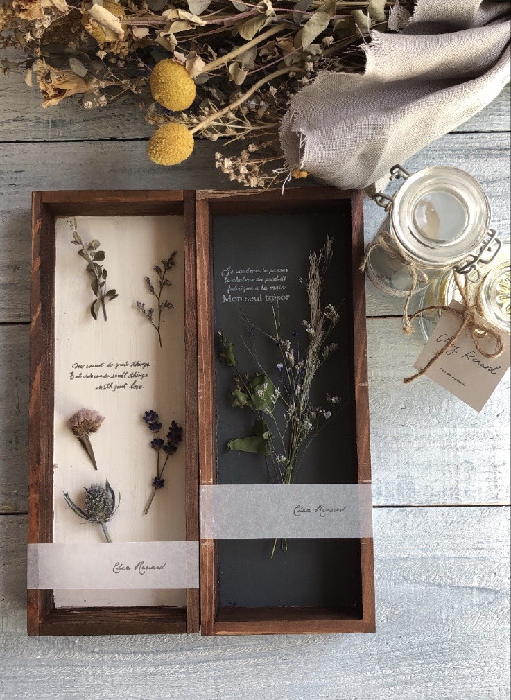 植物標本 筆記体 樹脂標本 土台付 フランネルフラワー アンティーク errer