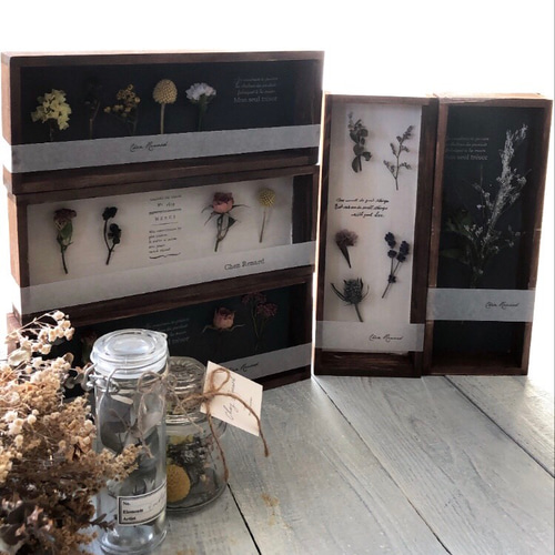 植物標本⁎ฺ↟ドライフラワー標本箱♡ʾʾ縦型チャコールグレー