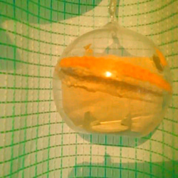 Creema限定硝子ドーム 〈ハロウィン・ナイト〉 4枚目の画像