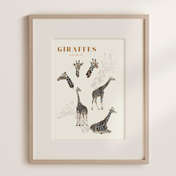 ポスター キリン サファリ giraffe インテリア 【送料無料】アートポスター アートのある暮らし art0191 1枚目の画像