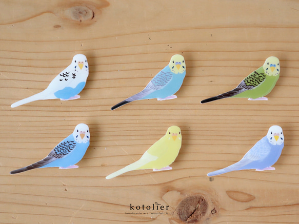 【鳥さんブローチ】New セキセイインコ(パステルレインボー)のブローチ 3枚目の画像